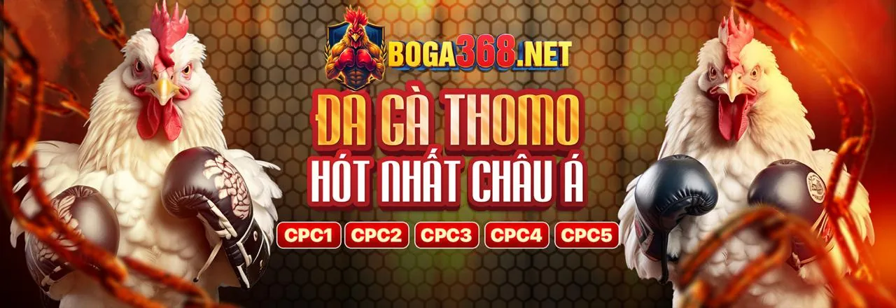 Sòng bạc trực tuyến st6667 2026
